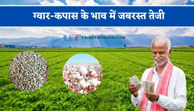 ग्वार-कपास के भाव में जबरस्त तेजी, देखें सभी मंडियों के रेट&nbsp;
