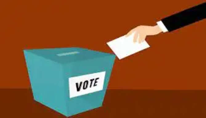 vote