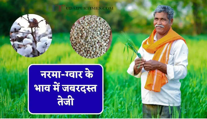 नरमा-ग्वार के भाव में जबरदस्त तेजी, देखें सभी मंडियों के नए रेट