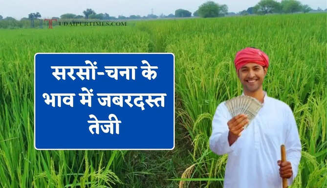 सरसों-चना के भाव में जबरदस्त तेजी, देखें सभी मंडियों के नए दाम
