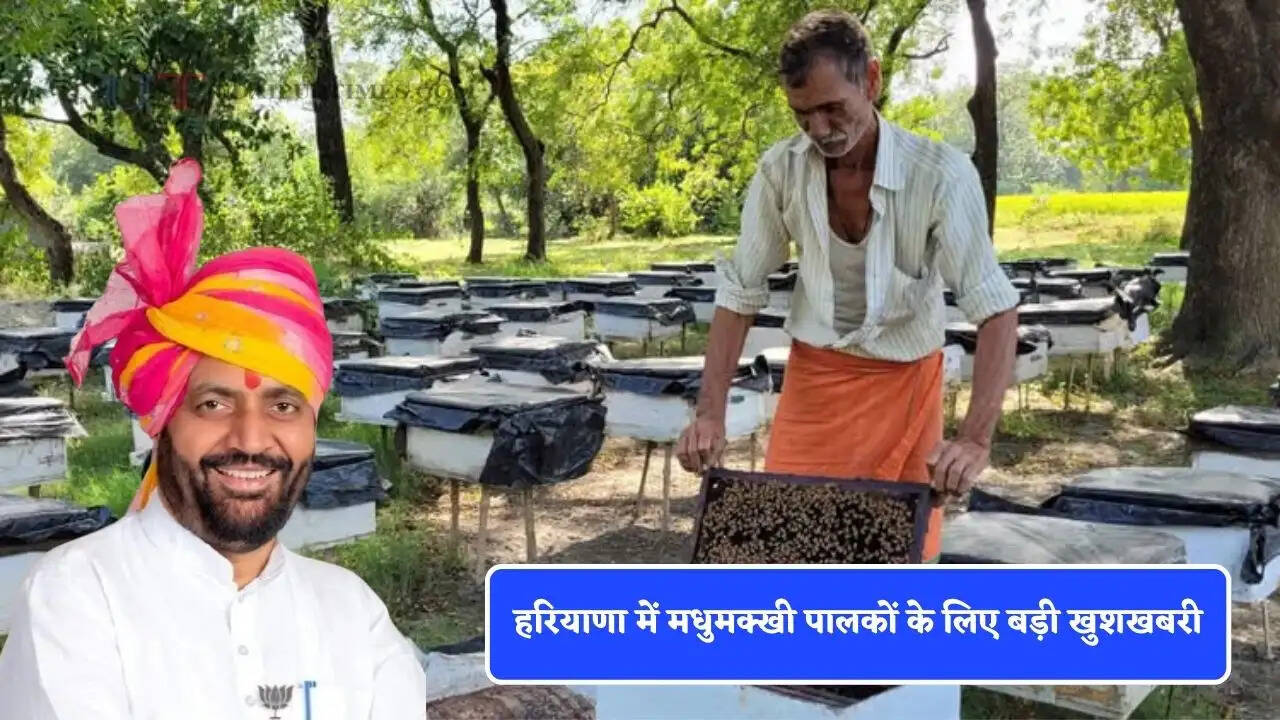 हरियाणा में मधुमक्खी पालकों के लिए बड़ी खुशखबरी, नायब सरकार ने दी बड़ी सौगात&nbsp;