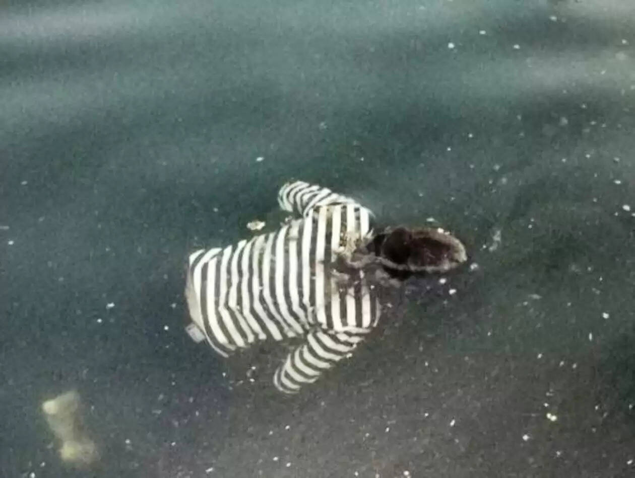 Dead body found at FS 