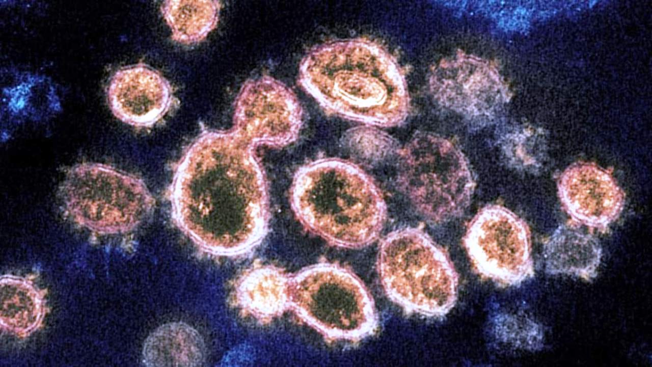 1st case of South African variant of coronavirus reported in Delhi
