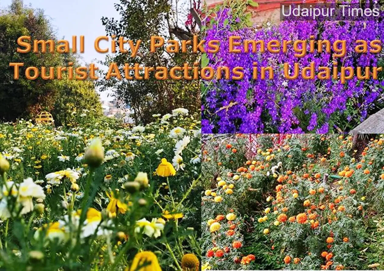 Tourist attraction in udaipur