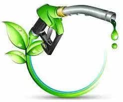 Importance and Future of Biofuels