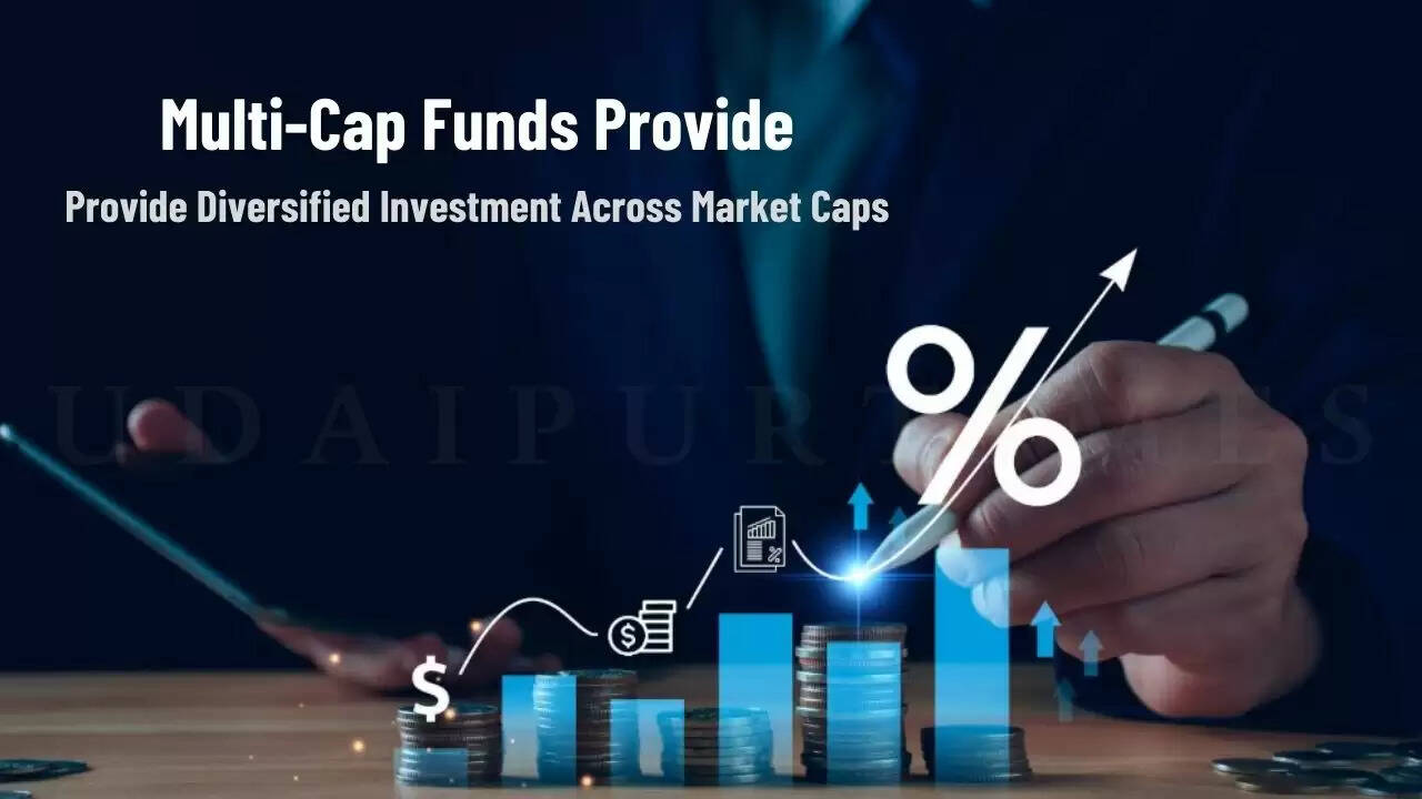 How Do Multi-Cap Funds Provide Diversified Investment Across Market Caps?