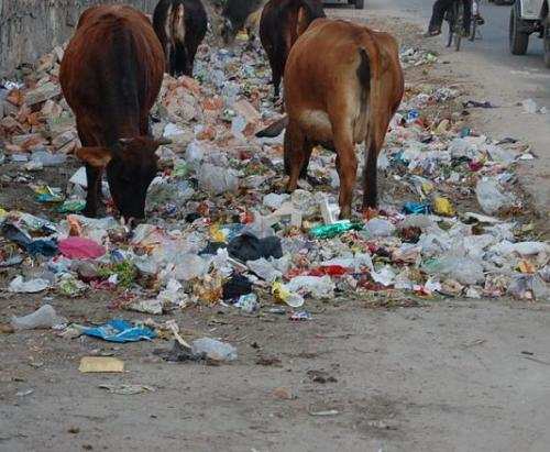 Villagers complain against hotels for throwing garbage in their areas