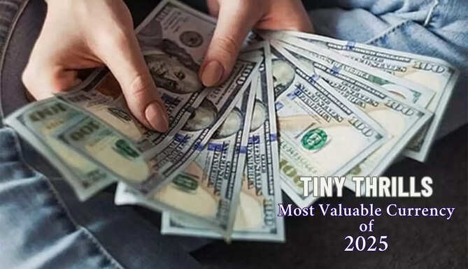 How &lsquo;Tiny Thrills&rsquo; Became the Most Valuable Currency of 2025 What are Tiny Thrills