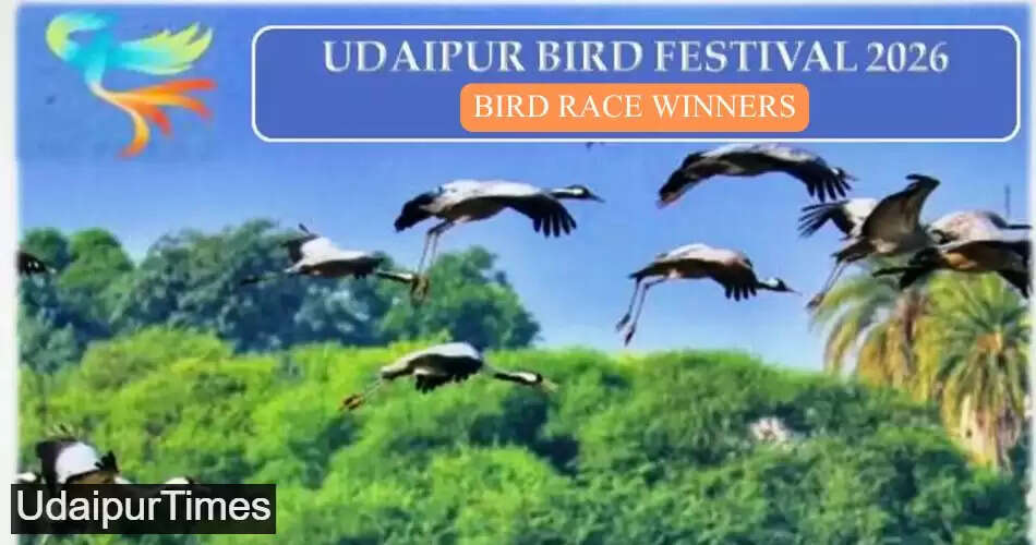 BIRD RACE