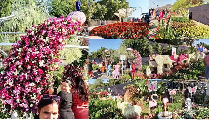 Udaipur Flower Show