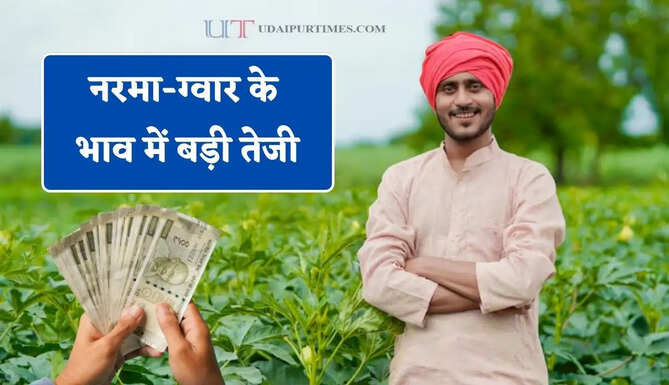 नरमा-ग्वार के भाव में बड़ी तेजी, देखें सभी मंडियों के नए रेट