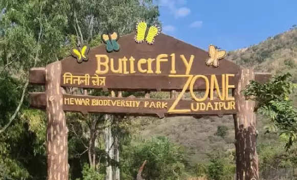 Butterfly Park Udaipur
