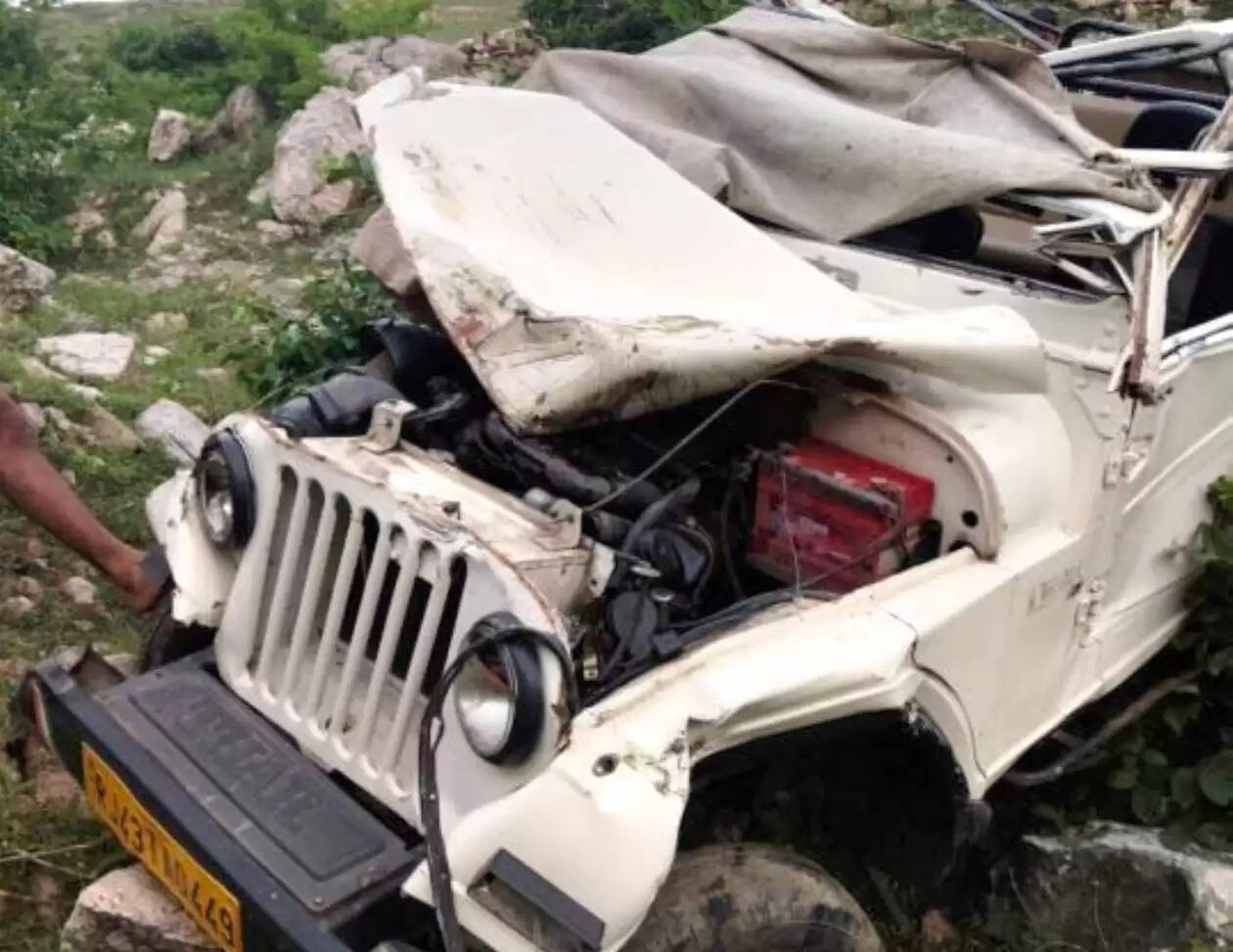 Zypsy falls into drainage