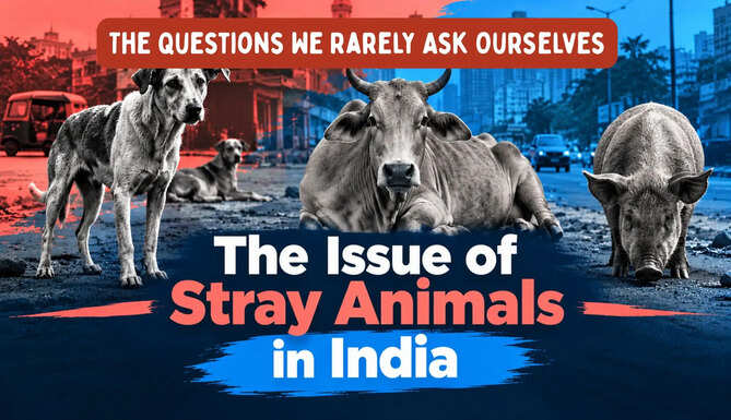 Strays