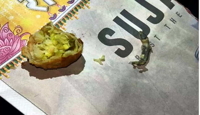 lizard in momoz