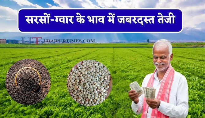 सरसों-ग्वार के भाव में जबरदस्त तेजी, देखें सभी मंडियों के नए रेट