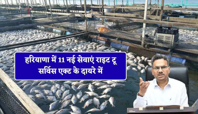 हरियाणा में 11 नई सेवाएं राइट टू सर्विस एक्ट के दायरे में, अब सब्सिडी की समय सीमा हुई निर्धारित