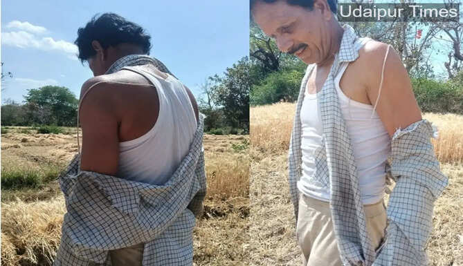 Alt Text: Monkeys chasing away panther to save farmer in Gogunda Udaipur field