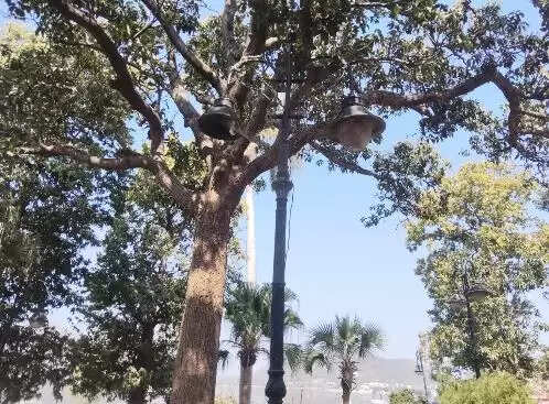 Guru Govind Singh park