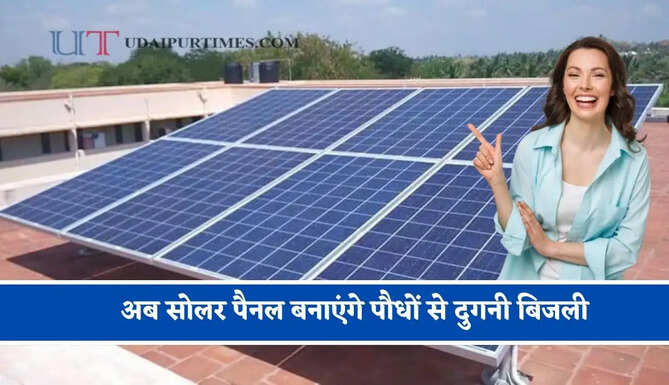 अब सोलर पैनल बनाएंगे पौधों से दुगनी बिजली, जाने क्या है नई Bio Solar टेक्नोलॉजी ?&nbsp;