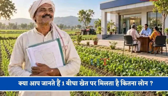 क्या आप जानते हैं 1 बीघा खेत पर मिलता है कितना लोन ? देश में कौन से बैंक दे रहे हैं सबसे सस्ते लोन