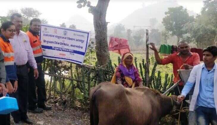 HZL द्वारा 4 से 14 दिसंबर तक पशु स्वास्थ शिविरों का आयोजन