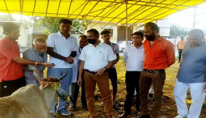 collector visit 