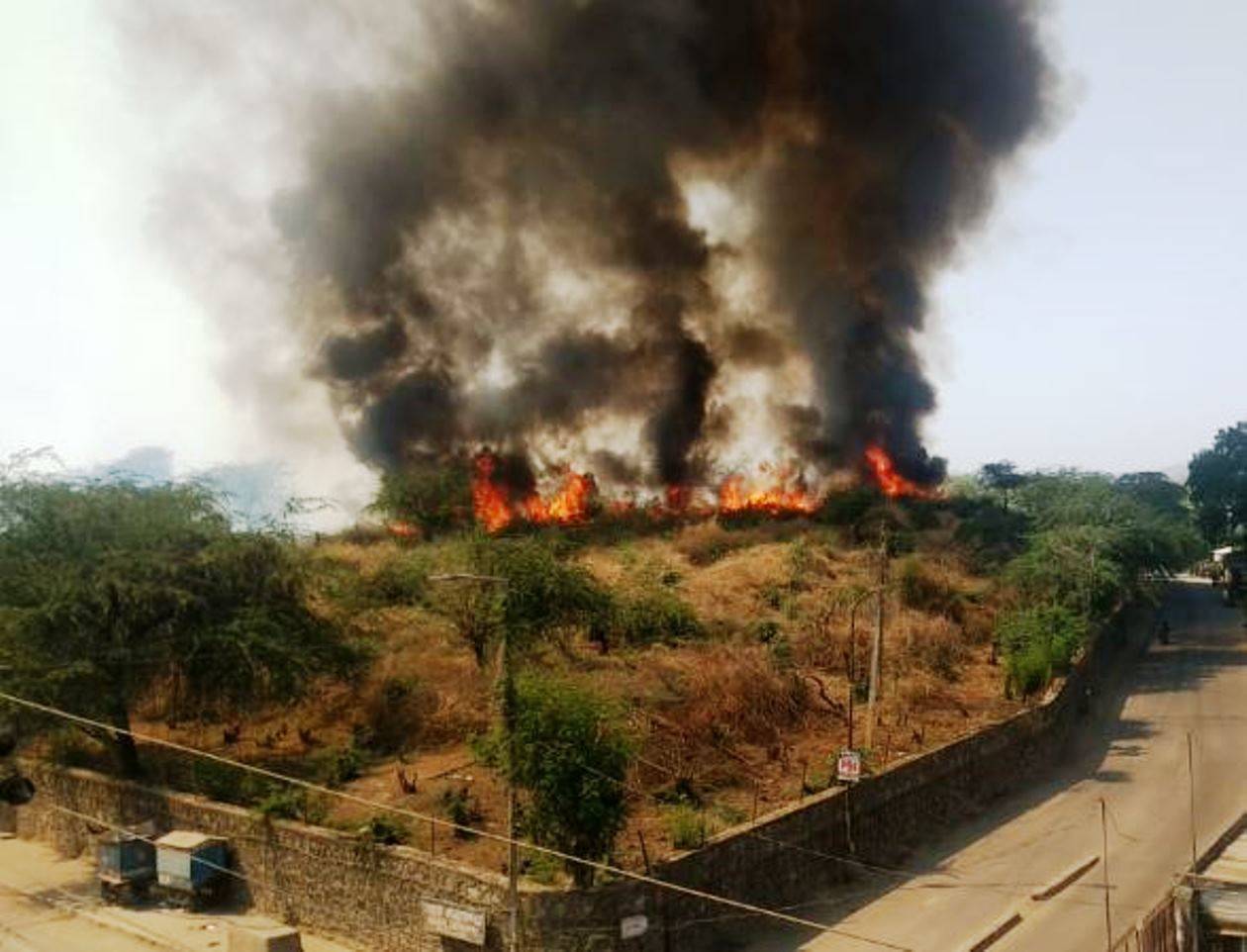 उदयपुर के आहड़ संग्रहालय परिसर में लगी भीषण आग