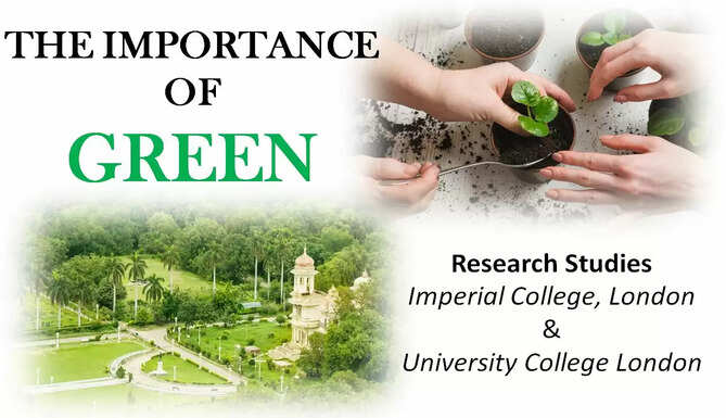 importance of green in the development of udaipur city of lakes deforestation