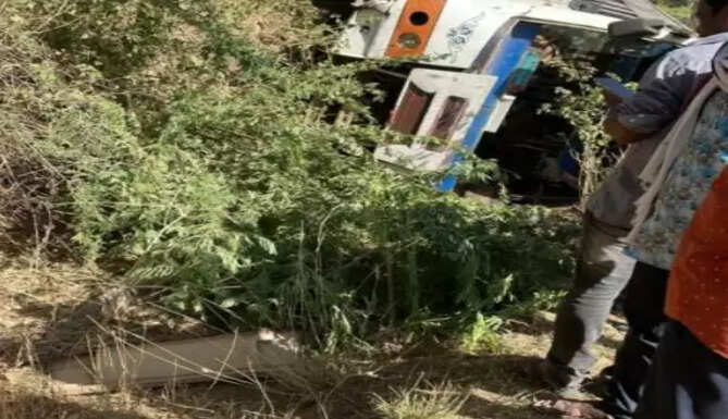 bus