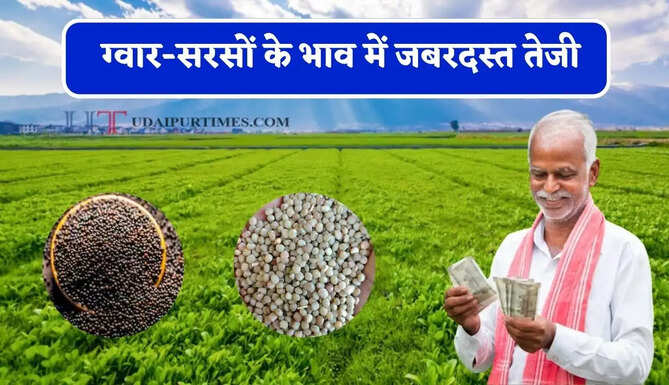  ग्वार-सरसों के भाव में जबरदस्त तेजी, देखें सभी मंडियों के नए दाम&nbsp;