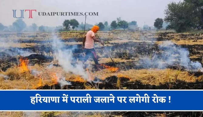 हरियाणा में पराली जलाने पर लगेगी रोक ! ड्रोन करेगा निगरानी, इन किसानों को मिलेंगे 1200 रुपये प्रति एकड़