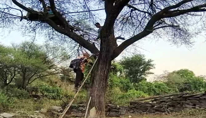 cctv