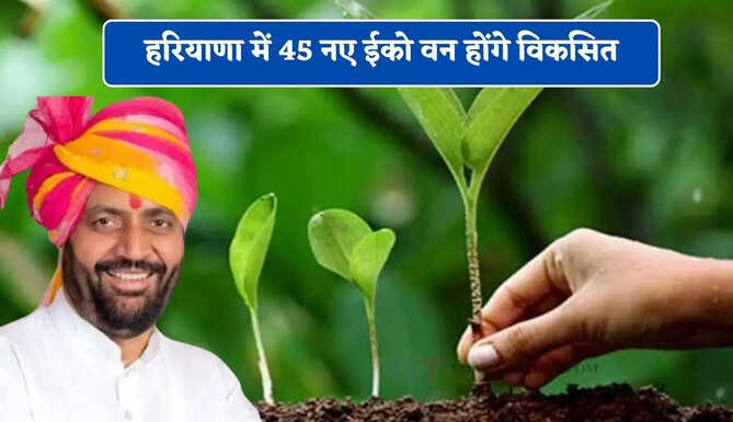 हरियाणा में 45 नए ईको वन होंगे विकसित, लोगों को मिलेगा बड़ा फायदा&nbsp;