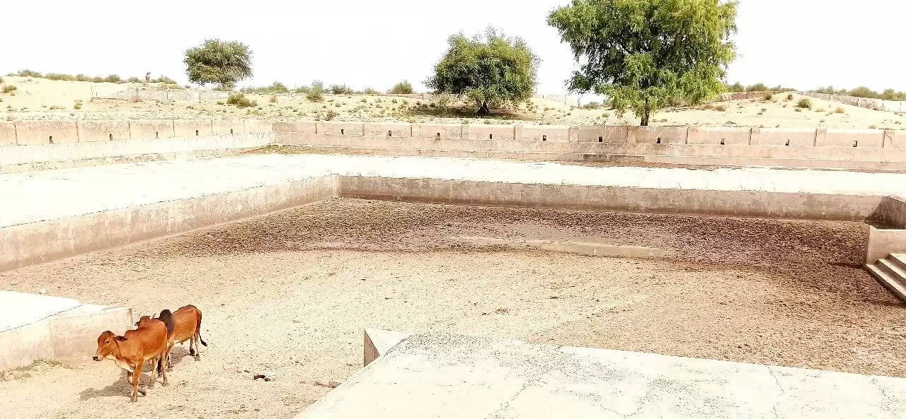 Rural Areas of rajasthan are facing the problem of Salty Water