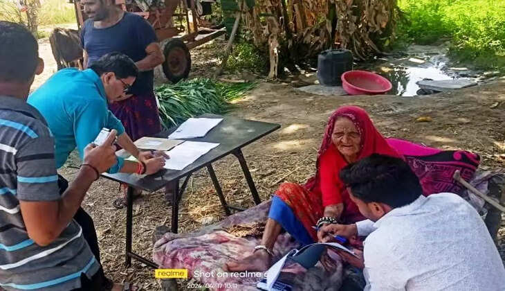 home voting