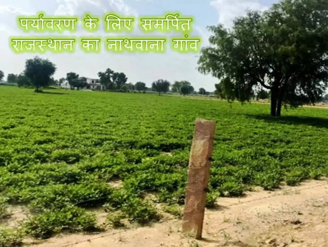 Nathwana village Bikaner