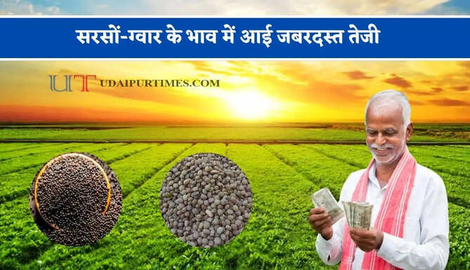 सरसों-ग्वार के भाव में आई जबरदस्त तेजी, देखें सभी मंडियों के नए रेट