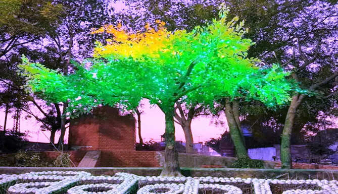 LED Tree