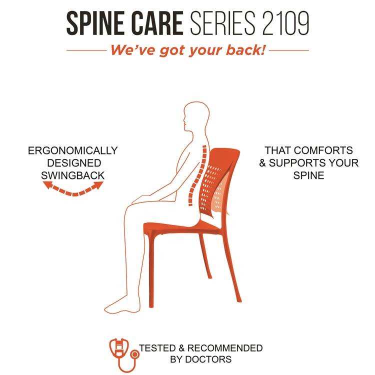 spine care chair italica udaipur innovation