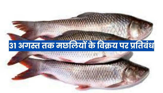 Ban on Fish Selling