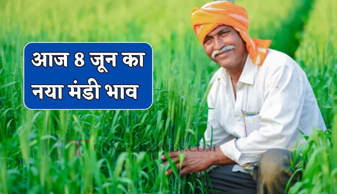Mandi Bhav : सरसों-ग्वार के भाव में बड़ी तेजी, देखें सभी मंडियों के नए दाम