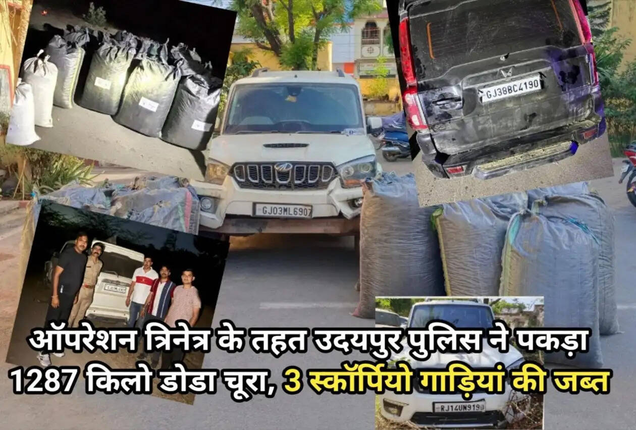 Alt Text: Udaipur Police seizing illegal doda chura under Operation Trinetra with Scorpio vehicles