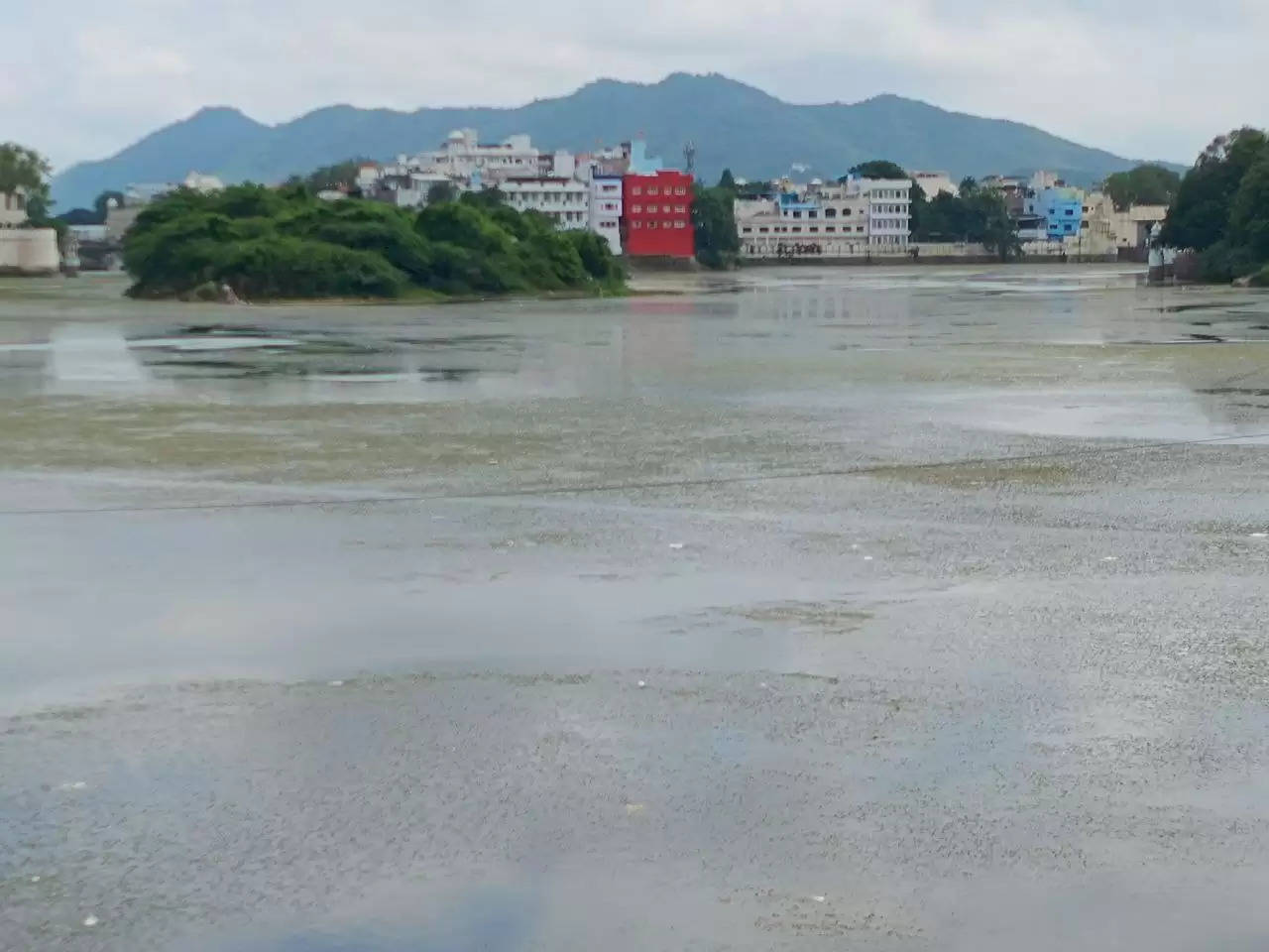 Lake Pollution Udaipur