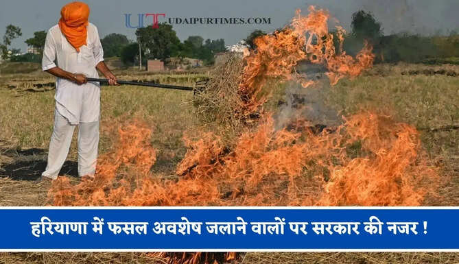 हरियाणा में फसल अवशेष जलाने वालों पर सरकार की नजर ! सेटेलाईट से होगी निगरानी, 164 नोडल अधिकारी नियुक्त