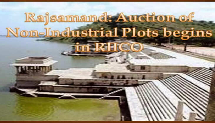 Rajsamand Plot e auction