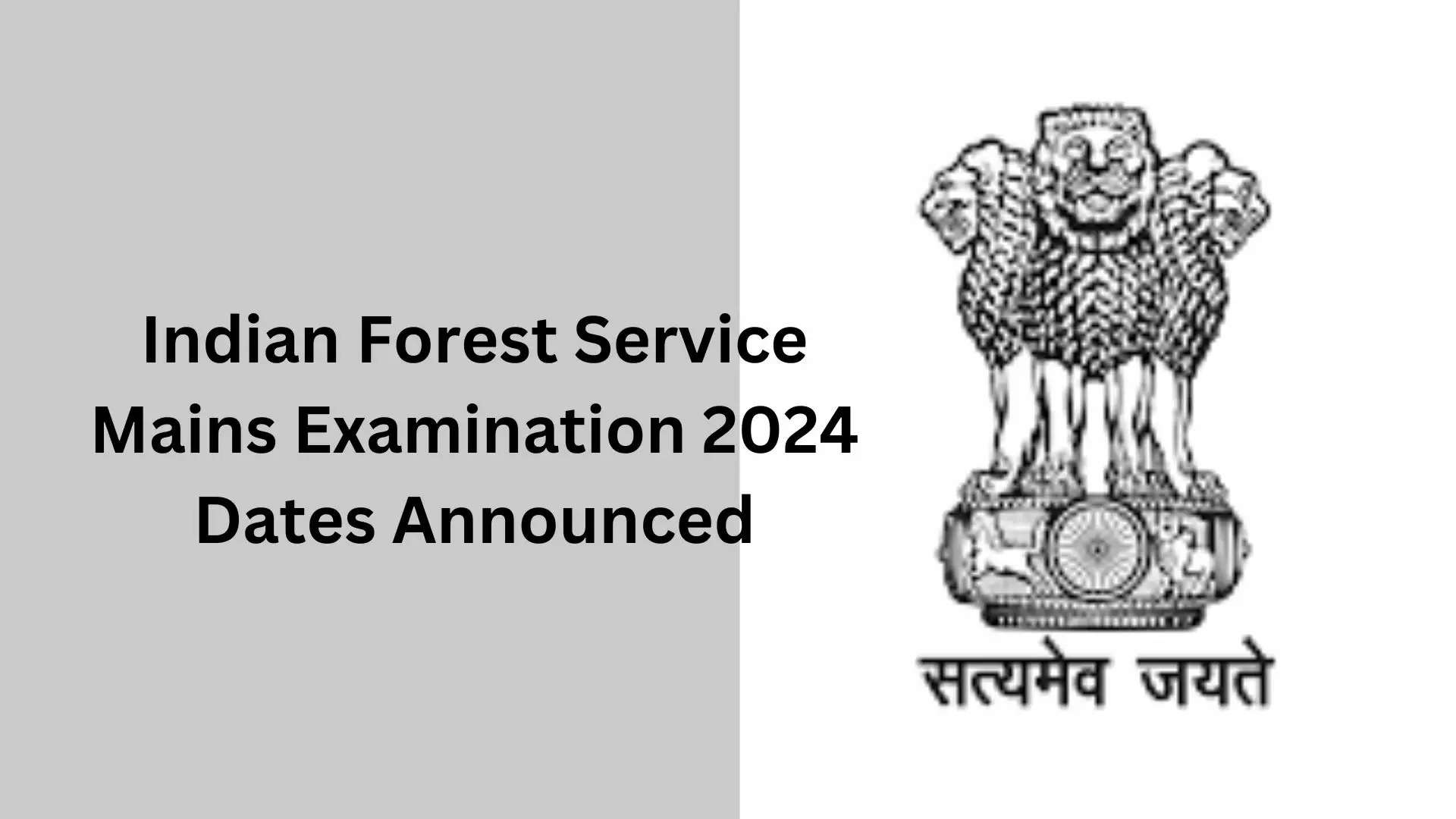 IFS Exam 2024