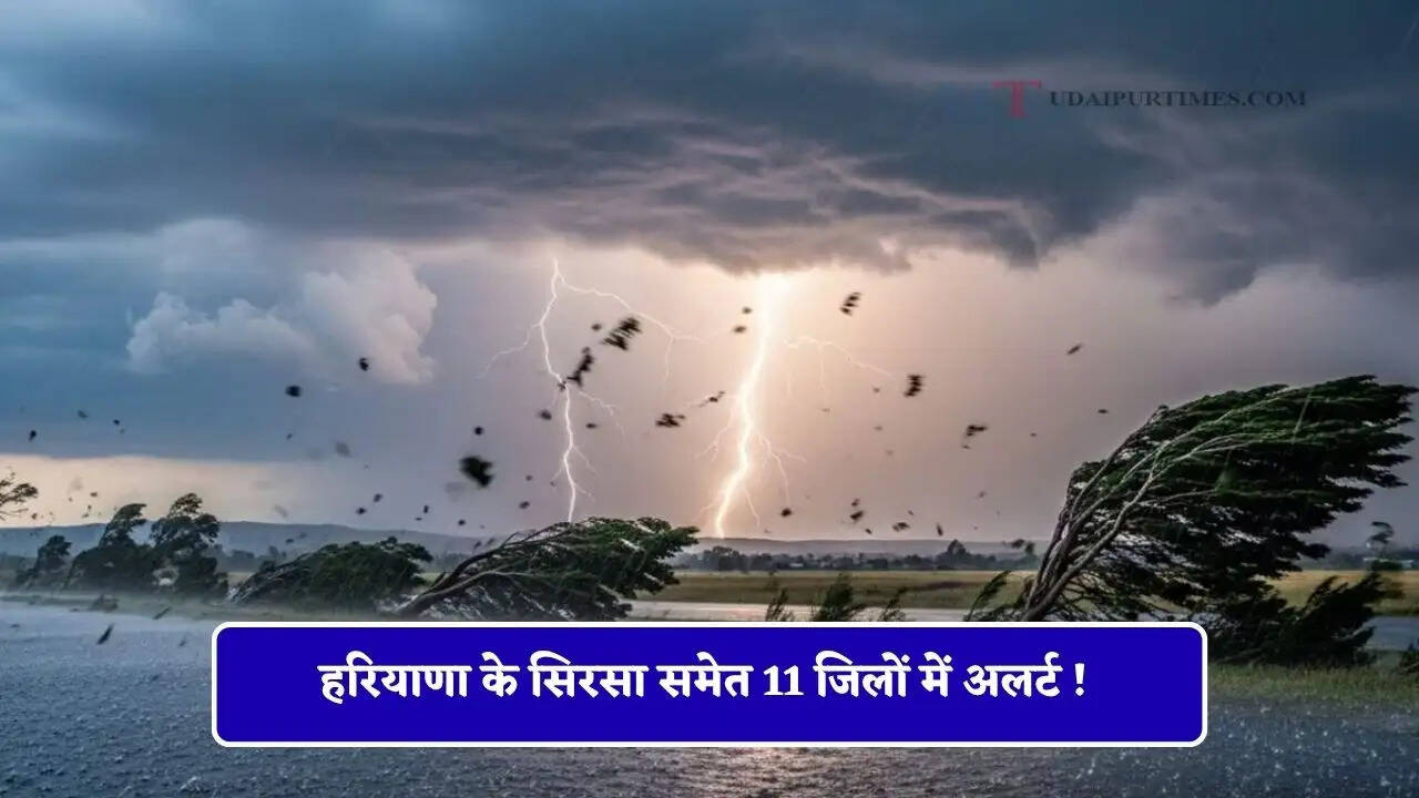 हरियाणा के सिरसा समेत 11 जिलों में अलर्ट ! इस तारीख होगी तेज हवाओं के साथ बरसात&nbsp;