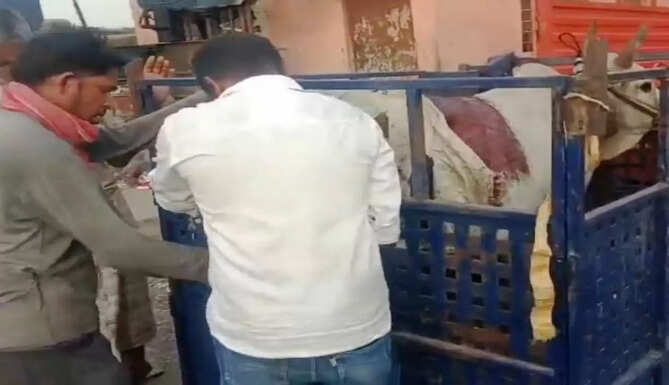 rajsamand