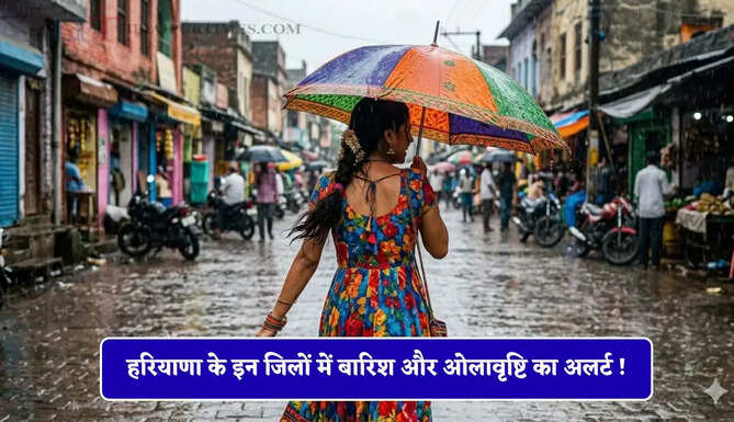 हरियाणा के कई जिलों में बरसात, पश्चिमी विक्षोभ सक्रिय होने के चलते 14 जिलों में ओलावृष्टि का अलर्ट !